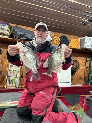 Customer photo review of Cajun Blue Milk Yellow Tail