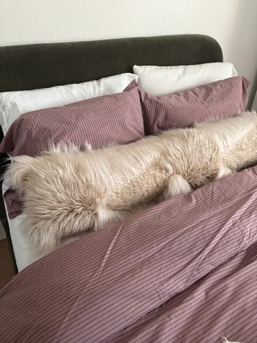 Customer photo review of Purple Striped Duvet Cover