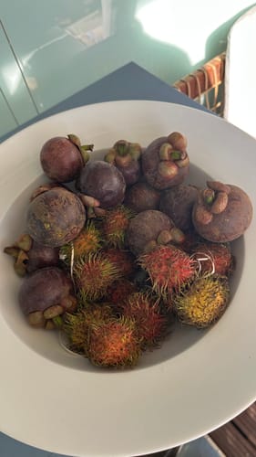 Kunde zeigt eine weiße Schale mit frischen Mangostanen und Rambutanen.
