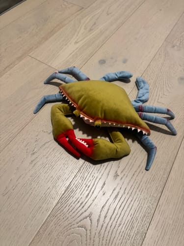Customer photo review of Blue Crab Soft Stuffed Plush Toy