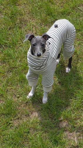 Customer photo review of Cocoon Terry Lounge Jumpsuit