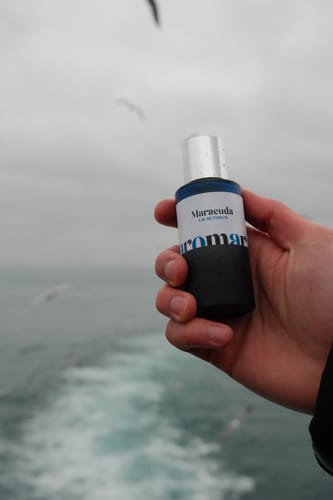 Customer photo review of Maracuda