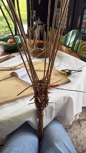 Customer photo review of The Willow Bird Feeder - Course and Kit