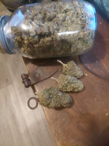 Customer photo review of Cheap THCA Flower Pound (450g)