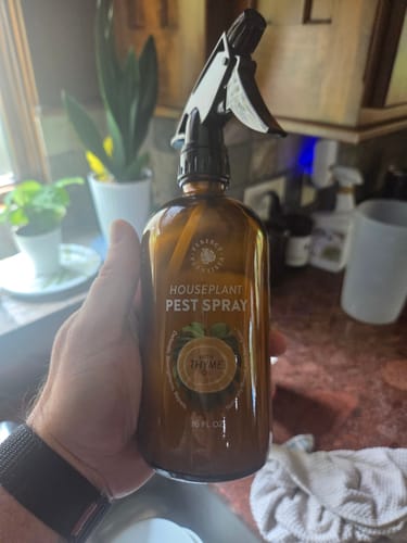 Customer holding the brown bottle of Houseplant Pest Spray in a kitchen with plants in the background.
