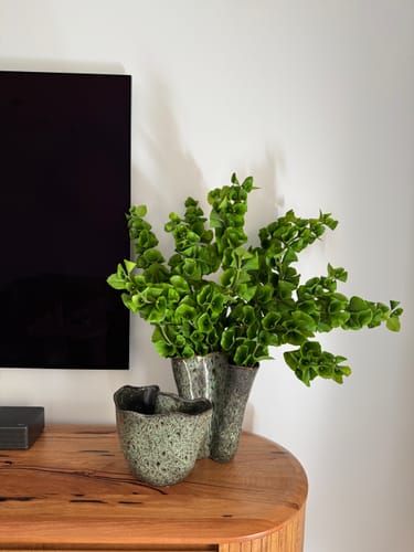 Customer's bunch of Bells of Ireland stems arranged in a tall, speckled vase on a wooden surface.