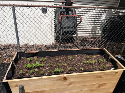 Customer photo review of 18" x 48" Raised Garden Bed - 30" TALL / Garden Grade