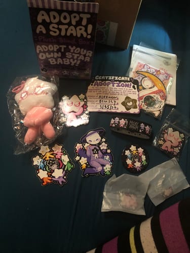 Customer photo review of Adopt a Star Baby Plush Blind Box