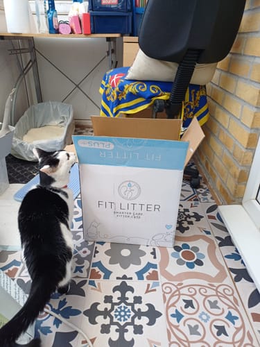 Customer photo review of Fit Litter PLUS - 3 month supply - 1 cat