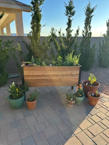 Customer photo review of 18" x 48" Raised Garden Bed - 30" TALL - Select Grade
