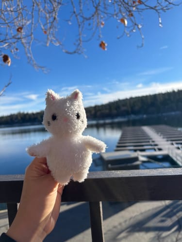 Customer photo review of Soonja