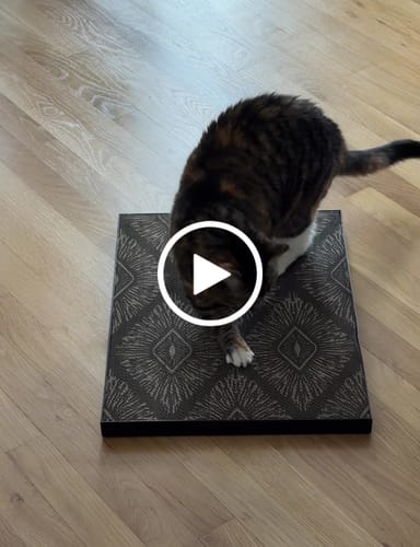 Customer video review of Starbursts - Luxury Cat Scratching Board
