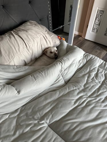Customer photo review of MarshMellow Comforter