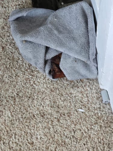 Reviewer's dog hiding a Smoked Beef Marrow Bone under a gray washcloth on a carpeted floor.