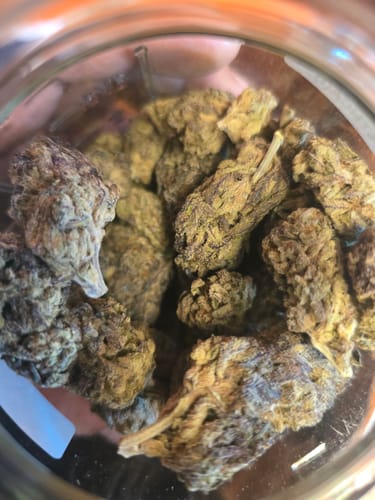 Customer photo review of Cheap THCA Flower Pound (450g)