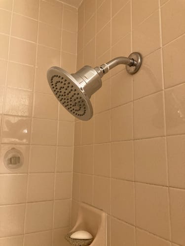Reviewer's Gillian Filtered Shower Head installed in a shower with beige tiles.