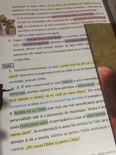 Recenzie cu fotografie de la un client despre Carte Română Bacalaureat Bacademia (temă și viziune, caracterizare, relație) - Ediția II