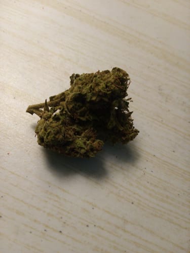 Customer photo review of Gorilla Glue Greenhouse THCA