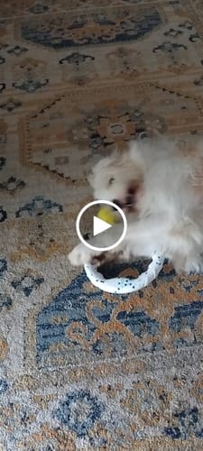 Customer video review of Astro Bundle