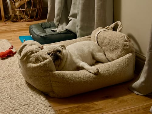 Customer photo review of Hazelnut | The Cosy Car Seat