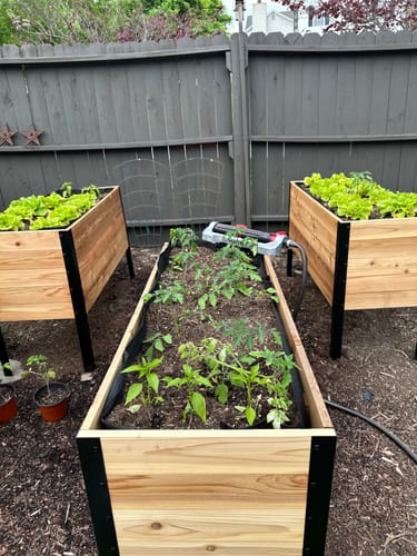 Customer photo review of 18" x 48" Raised Garden Bed - 30" TALL - Select Grade