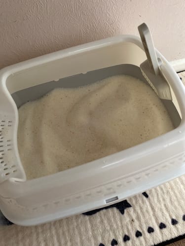 Customer photo review of 1 Month Supply – 2 Cat