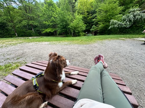 Anmelder slapper af på en bænk med sin hund, iført grønne FeelFree Dog Walker Tights.