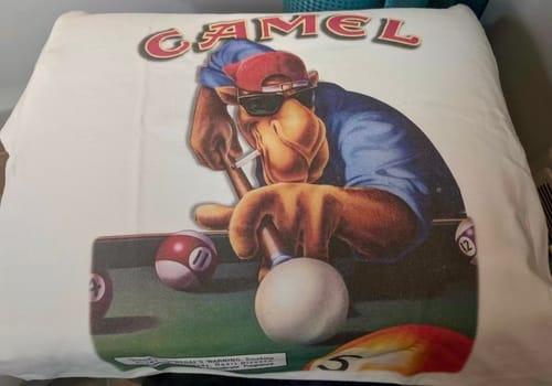 Customer photo review of Camel Joe Pool Playing T-Shirt/Sweatshirt/Hoodie
