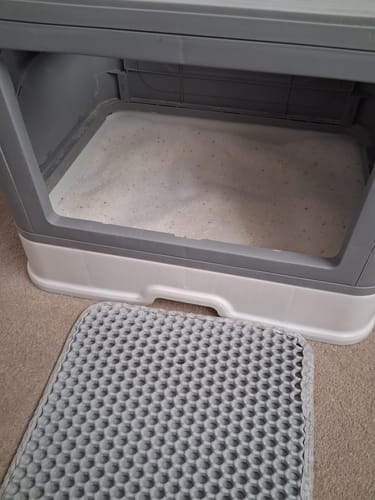 Customer photo review of 3 Month Supply - 1 Cat