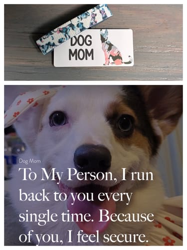 Reviewer's image showing the Dog Mom Bracelet and its card, plus the scannable message with a dog's face.