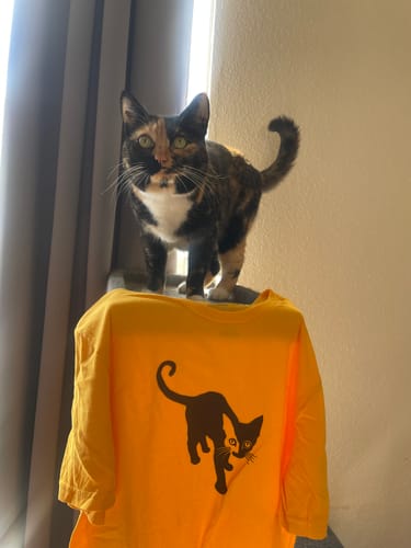 Customer's tortoiseshell cat standing on their yellow Half-Face Black Cat T-shirt.
