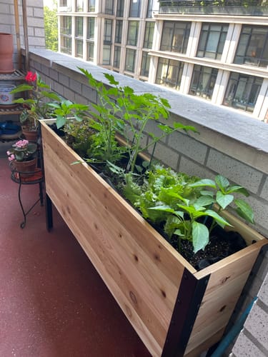 Customer photo review of 11.5" x 48" Raised Garden Bed - 30" TALL / Garden Grade