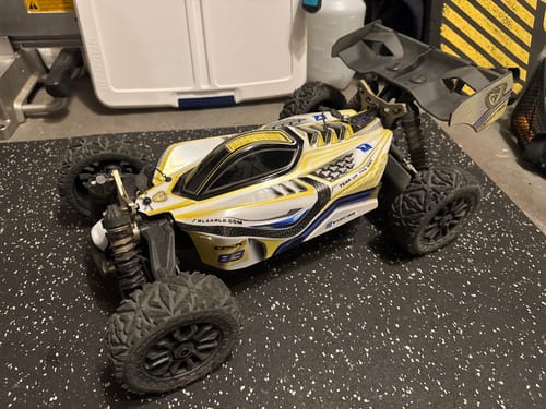 Customer photo review of Rlaarlo 1/8 4WD Buggy Dragon Scale Knight | DSK RTR