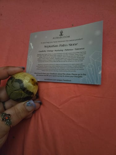 Reviewer holds a smooth Septarian Palm Stone from their monthly crystal subscription next to its info card.
