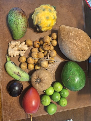 Customer photo review of Tropical Variety Box