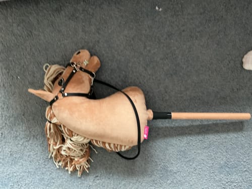 Customer's Hobby Horse Bren with its black halter lying on a grey carpet.