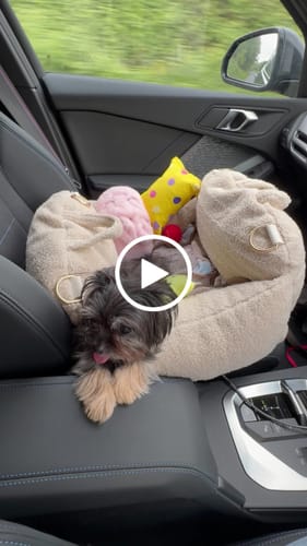 Customer video review of Hazelnut | The Cosy Car Seat