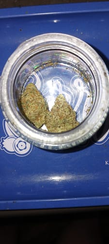 Customer photo review of China White Exotic THCA Flower