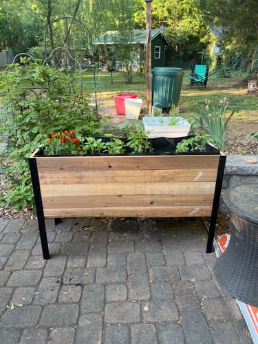 Customer photo review of 18" x 48" Raised Garden Bed - 30" TALL / Garden Grade