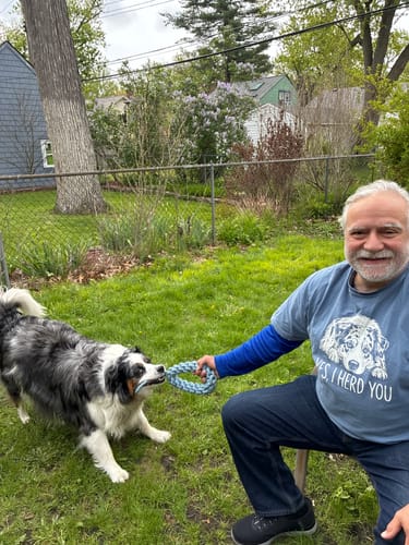 Customer photo review of Australian Shepherd Herd You T-Shirt