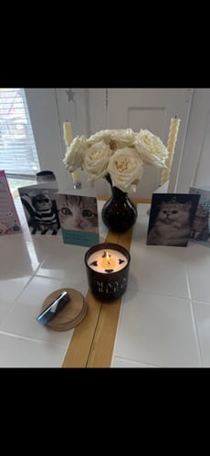 Customer photo review of The Original Shark Tooth Candle