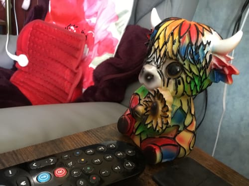 Customer's vibrant, multi-colored Highland Cow LED Night Light figurine sitting on a wooden table next to a remote.