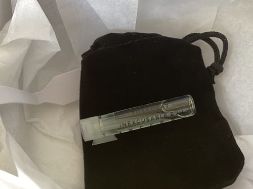 Customer photo review of Inexcusable Evil