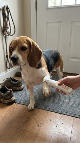Customer photo review of HydroGuard Waterproof Paw Groomer with LED Precision