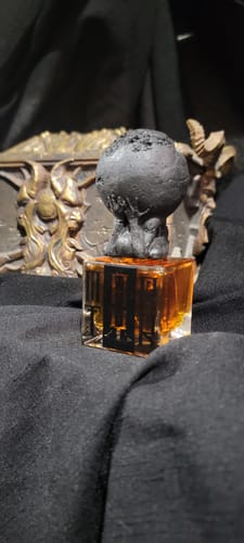 Customer photo review of Martyr