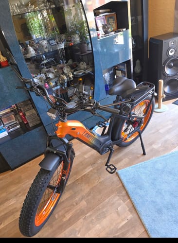 Customer photo review of Lankeleisi MG600 Plus 2025 Version 26" Fat Bike 960Wh All Terrain SUV E-Bike with Torque Sensor 48V 20Ah Battery