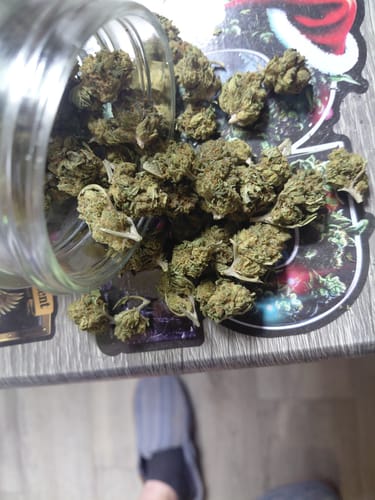 Customer photo review of Cheap THCA Flower Pound (450g)