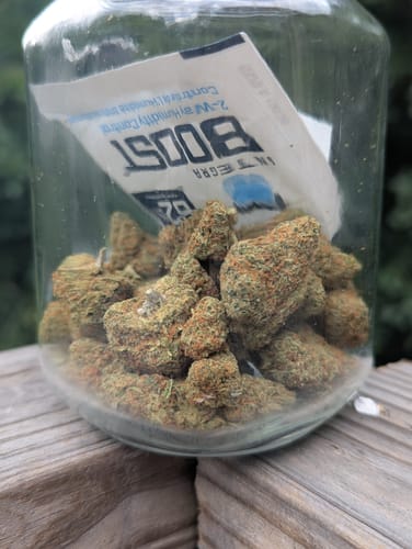 Customer photo review of Banana Jealousy XL THCa Exotic Flower 10g 4K