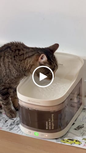 Customer video review of Wireless Weight-Sensing Pet Fountain