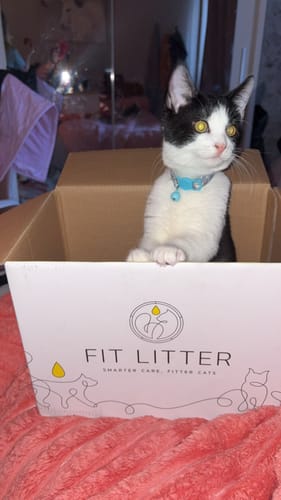 Customer photo review of Fit Litter PLUS - 1 month supply - 2 cat